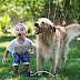 Best Dog Breeds for Families With Young Children