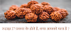 How many types of Rudraksha ? : 27 types of rudraksha : All information about Rudraksha : only4us