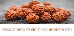 how many types of rudraksha, rudraksha