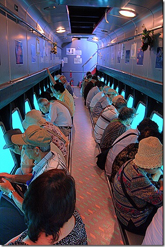 The overnice matter virtually this cruise is that below decks yous tin come across fish TokyoMap Glass Bottom Boat: Feeding the Fish
