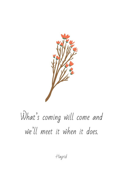 Inspirational Motivational Quotes Cards #8-28 "What’s coming will come and we’ll meet it when it does." (Hagrid)