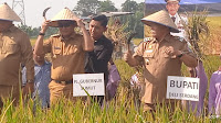 Panen Padi Sawah di Desa Wonosari, Bupati Deli Serdang Sambut Kedatangan PJ Gubernur Sumatera Utara Dengan Kesenian Reok Jawa Timur