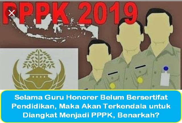 Selama Guru Honorer Belum Bersertifat Pendidikan, Maka Akan Terkendala untuk Diangkat Menjadi PPPK, Benarkah?