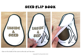 Explore the plant life cycle with these handy set by step lesson idea for teachers. Perfect for early years students. Teaching resources you can download today. 