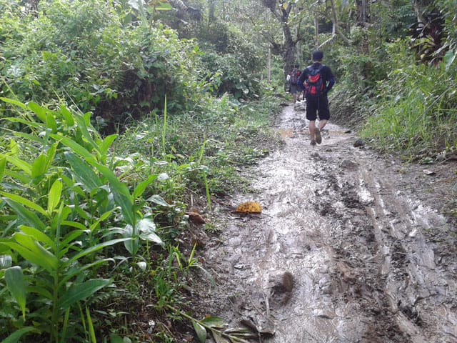 Muddy Trail to Itbog Falls