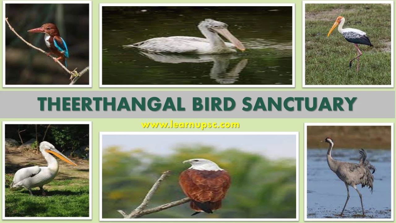 Theerthangal Bird Sanctuary