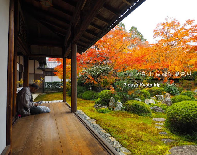 [京都] 2泊3日紅葉巡り