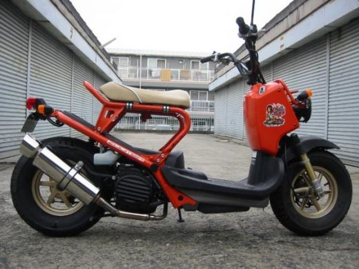 Label Honda Ruckus 50cc scooter pictures honda ruckus