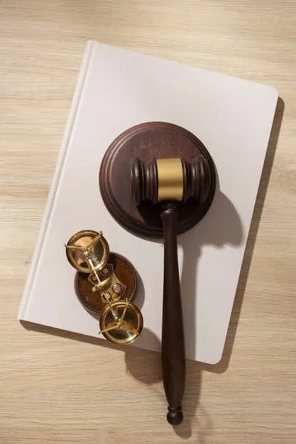 Examples-of-preliminary-objection-applications
