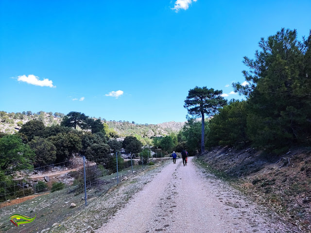 Circular a Peña Corva desde el Área Recreativa Gil Cobo (Sierra de Las Villas)