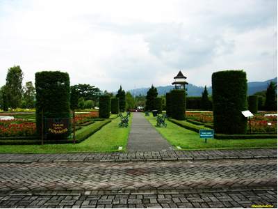 Foto Taman  Bunga  Nusantara  Cipanas  Puncak Cianjur 