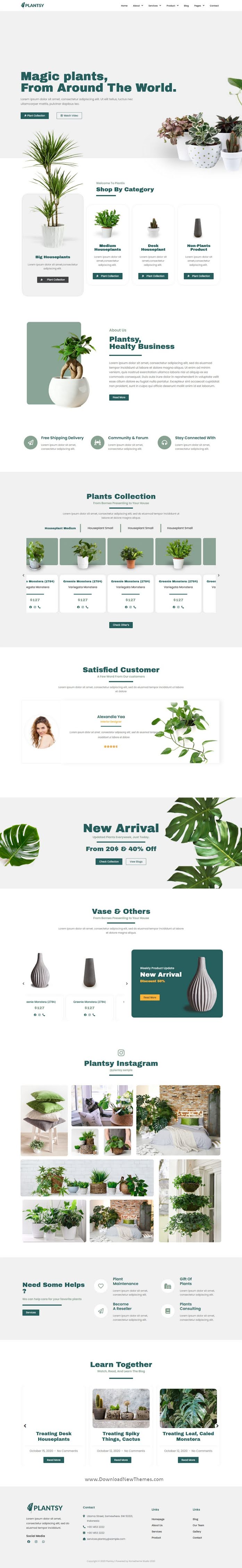 Houseplants Elementor Template Kit