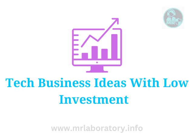 Tech Business Ideas With Low Investment   - mrlaboratory.info