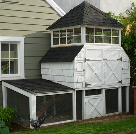 Urban Chicken Coops