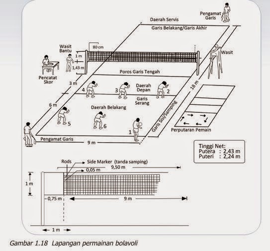 Ukuran lapangan bola voli