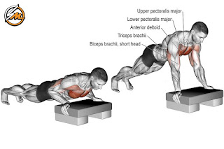 Chest and Tricep Bodyweight Workout