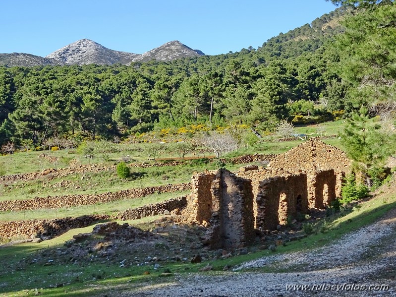 Alcojona - Abanto - Cascajares