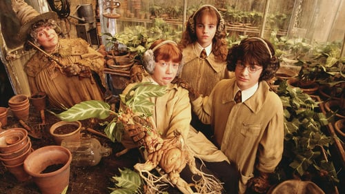 Harry Potter y la cámara secreta 2002 pelicula online latino hd