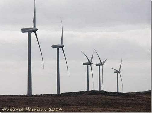 4-N-Rhins-Windfarm