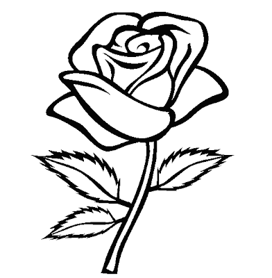 Rose Coloring Sheets on Rose Flower Coloring Page Picture 5