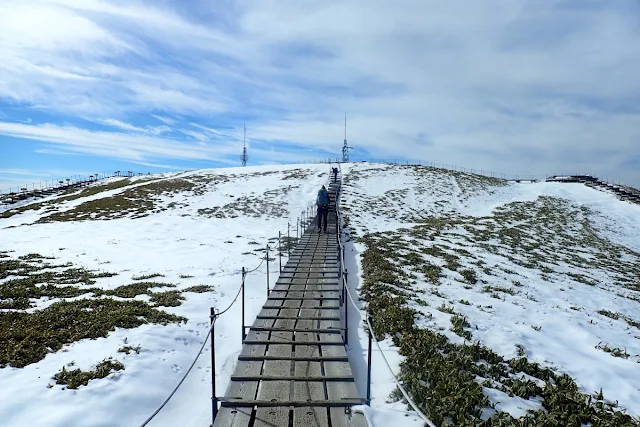 山頂の景色