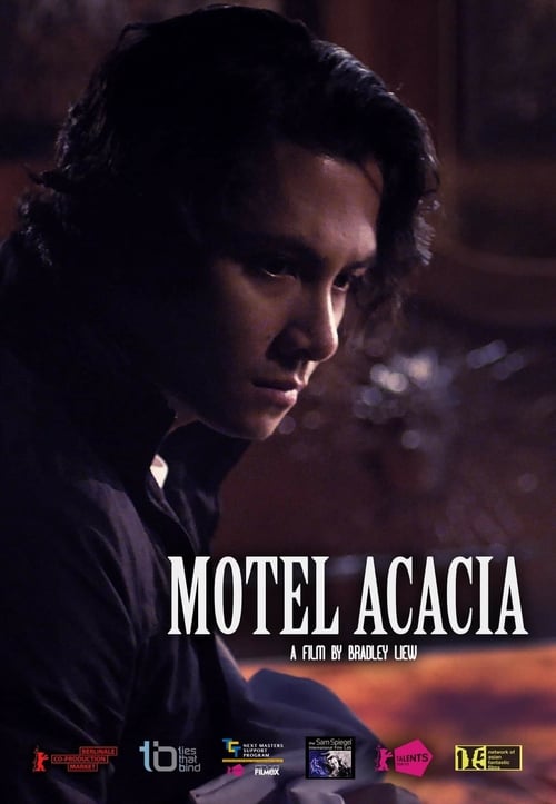 [HD] Motel Acacia 2019 Pelicula Online Castellano
