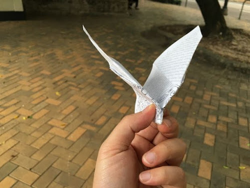 Flapping Paper Plane  by 陳亮