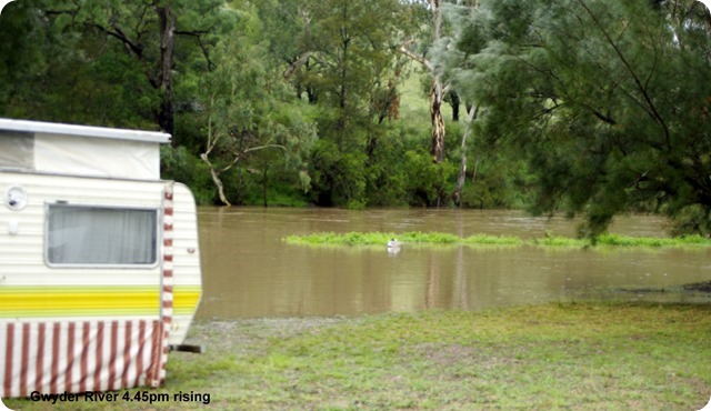 Gwydir River 4.45pm - rising fast