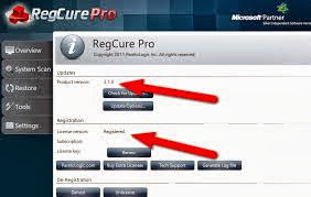 regcure pro regcure pro license key regcure pro key regcure pro reviews regcure pro license key free