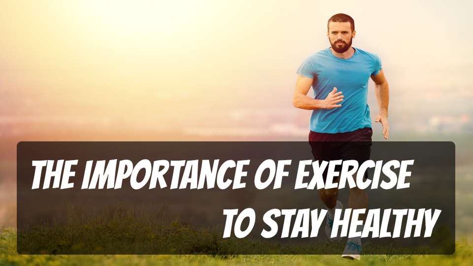 The Importance Of Exercise: Why You Need To Stay Healthy 