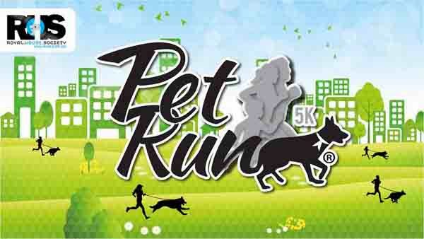 entrenamiento-primera-Pet-Run-Colombia-2014