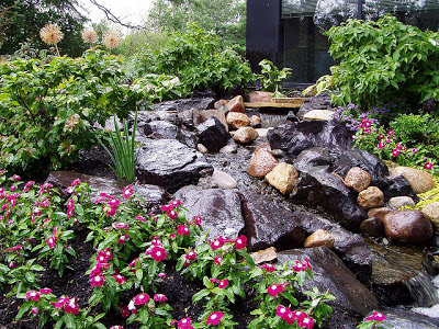 waterfall in backyard 