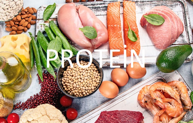 protein bakımından zengin besinler