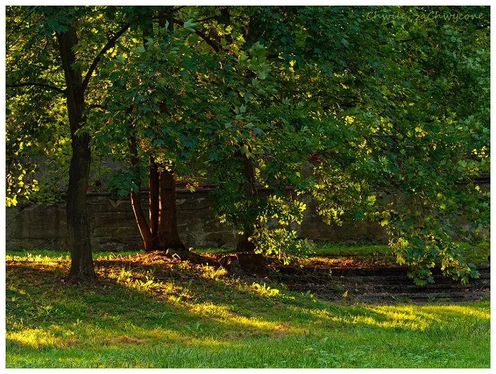 Park Szelągowski w Poznaniu