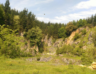 Cantera naturalizada de forma espontánea, Bizkaia