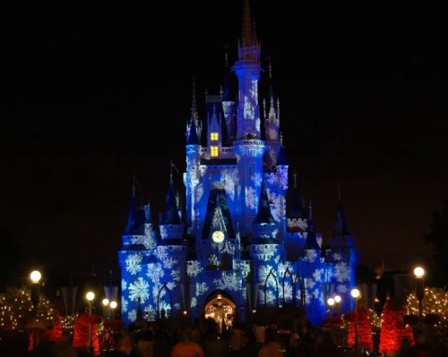 Day and Night of Walt Disney World Castle (10 photos)