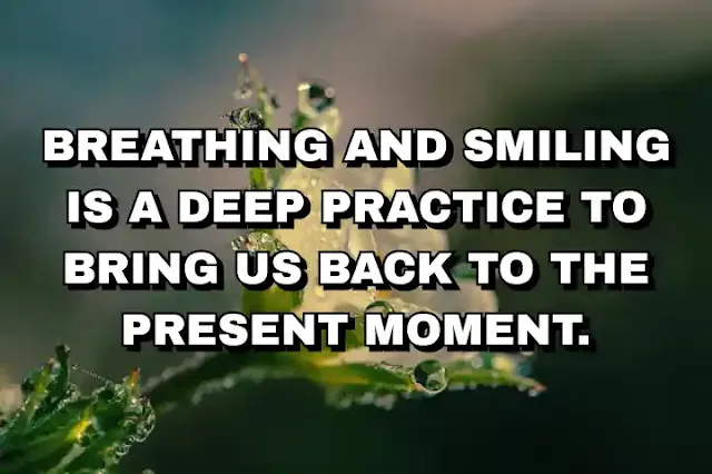 Breathing and smiling is a deep practice to bring us back to the present moment.