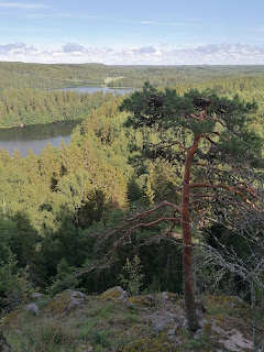 Aulangon kansallispuisto maisema