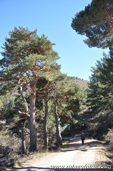 Trevenque - Cerro del Cocón - Cerro Gordo - Pico de la Carne