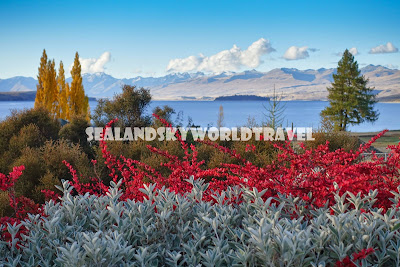 Lake Tekapo, New Zealand, Mackenzies Cafe Bar Grill,