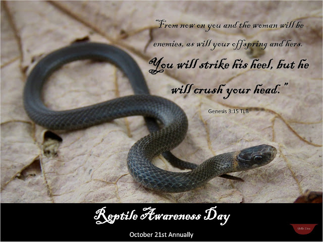 A red-bellied snake sits on a light brown leaf. Text overlay quotes Genesis 3:15 and informs that Reptile Awareness Day is on October 21st Annually