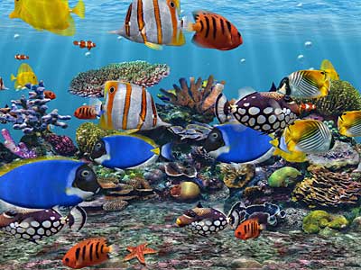 Download 3D Fish School Screensaver For Windows PC