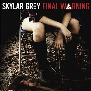 Final Warning (Skylar Grey)