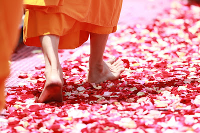 Monk walking on path of rose petals