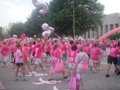 Komen2010 065