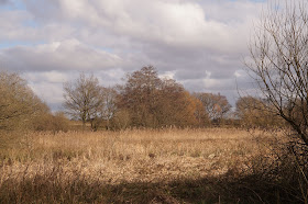 The time between winter and spring in Norfolk