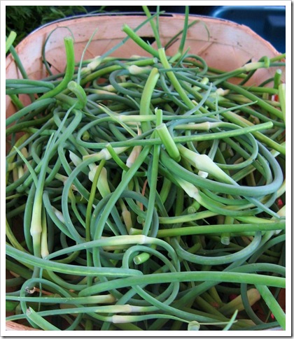 garlic scapes taliaferro