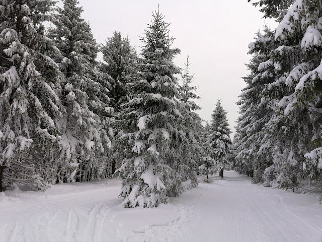 Sauerland wandern Wetter blog Winterberg Bremberg Loipe