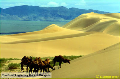 Mongolian Gobi Desert