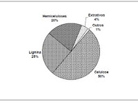 Estrutura Molecular E Propriedades Dos Materiais